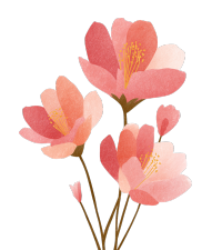 可爱粉色花卉插画