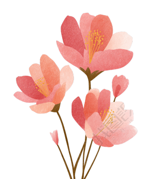 可爱粉色花卉插画