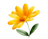 黄色花水彩风素材