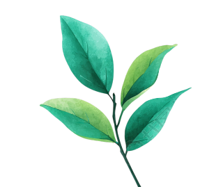 薄荷绿茶叶设计