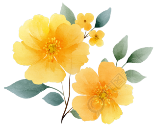 水彩黄色花卉PNG图标