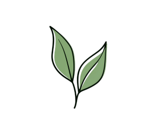 薄荷绿茶叶设计