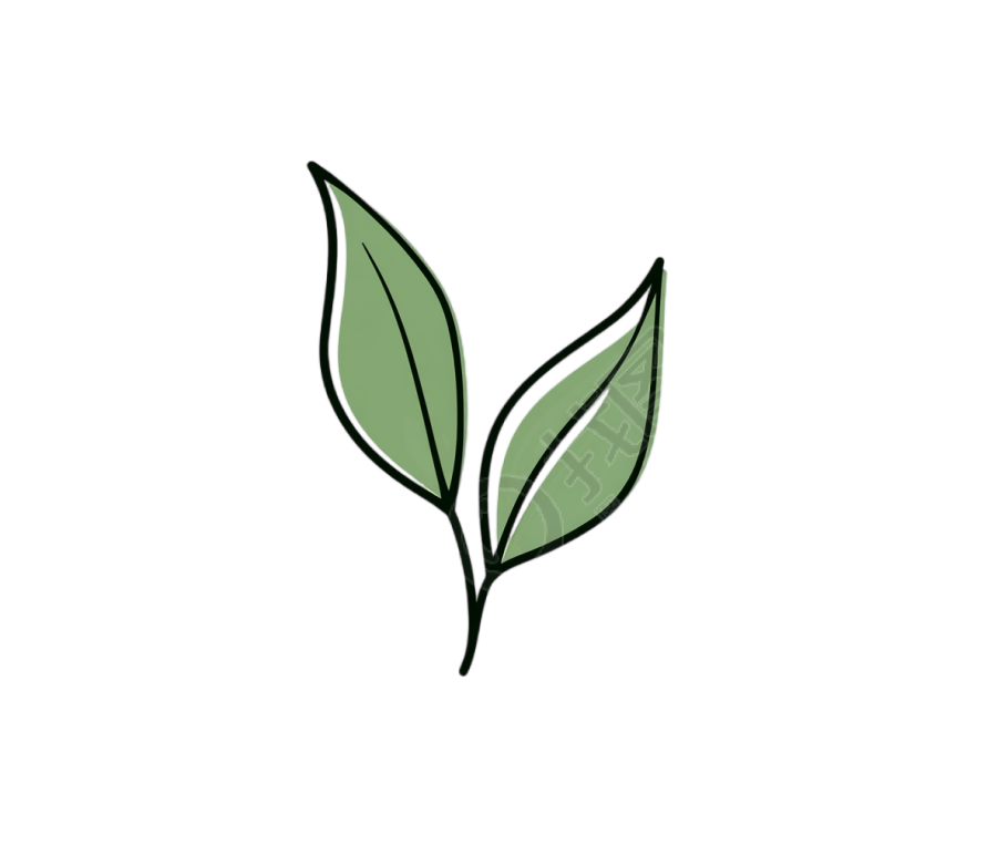 绿叶可商用插图