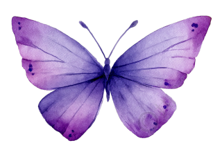 水彩紫色蝴蝶图案PNG
