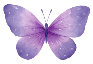紫色蝴蝶水彩插画