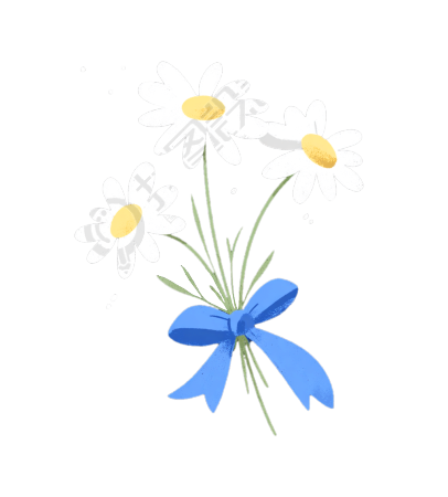 清新简约雏菊插画