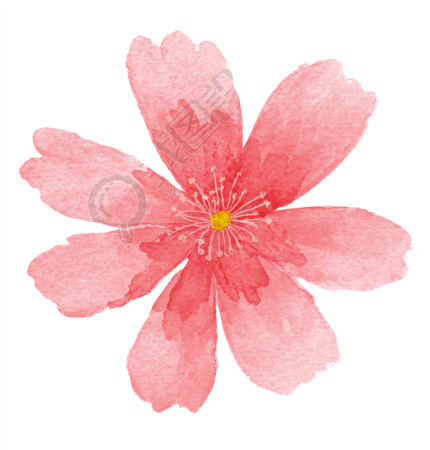 粉色花朵水彩风元素