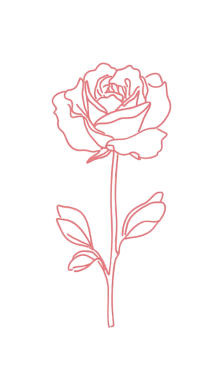 简约玫瑰线描元素