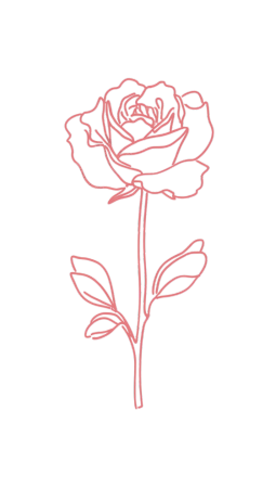 简约玫瑰线描元素