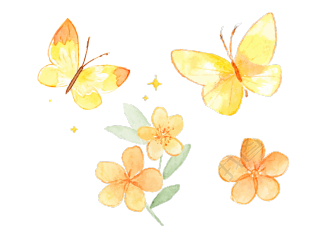 黄色蝴蝶水彩插图