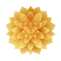 简约风格黄金花瓣插画