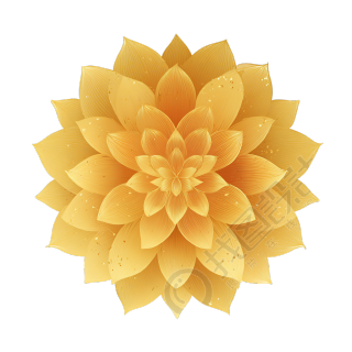 简约风格黄金花瓣插画