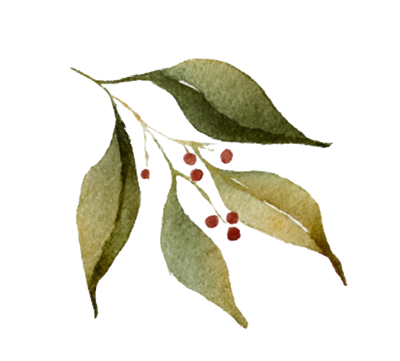 水彩风叶子插画