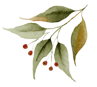 水彩风叶子素材