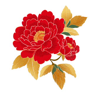 春节红花设计