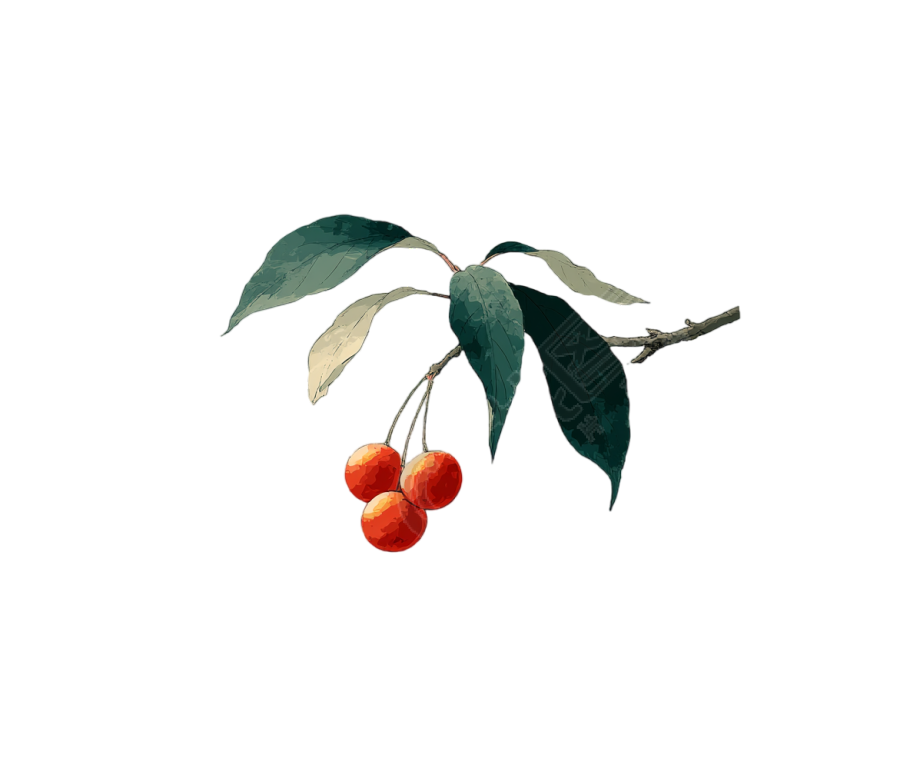 水彩花卉PNG插画