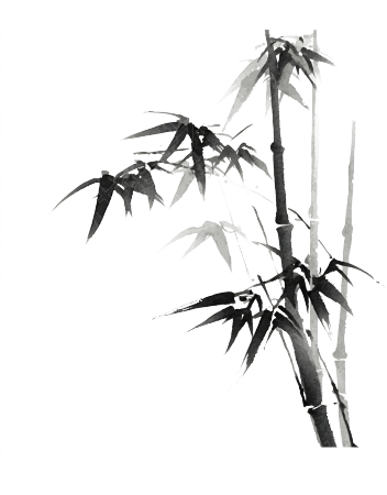 水墨竹子简约插图