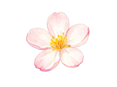 桃花水彩花卉插画