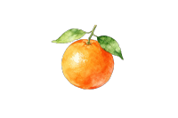 清新水果水彩画