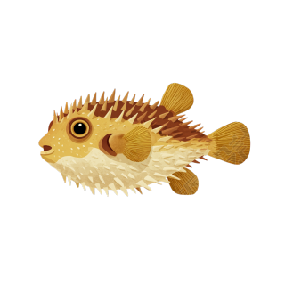 慵懒魨鱼插画