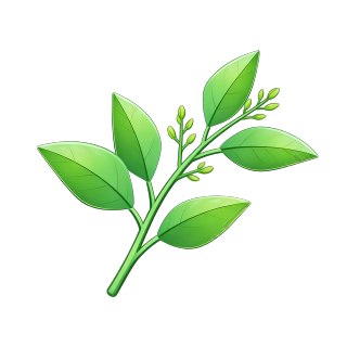 清新绿叶水珠