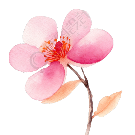 粉色花朵水彩素材