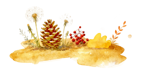 水彩花丛秋日插图