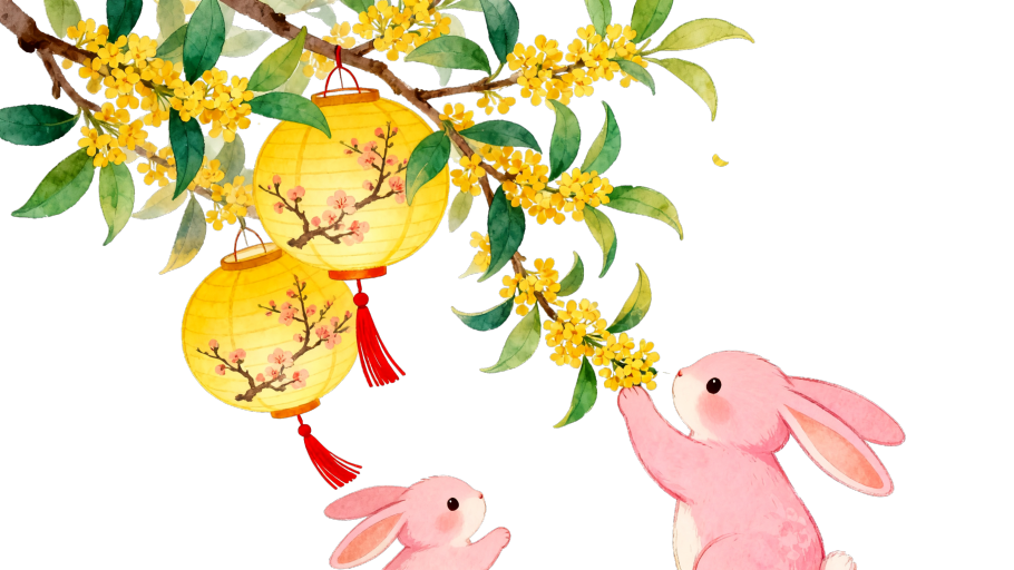 中秋节玉兔桂花插画