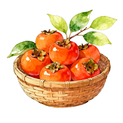 柿子水彩插图