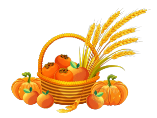 image (4)
