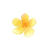 水彩黄色花朵PNG元素