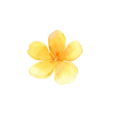 水彩黄色花朵PNG元素