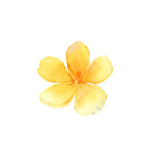 水彩黄色花朵PNG