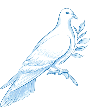 和平鸽橄榄枝插画
