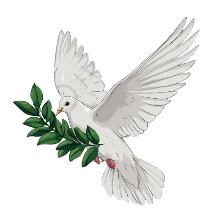 和平鸽飞翔插图