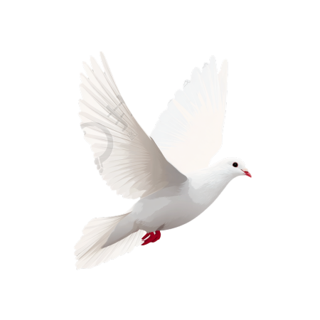 和平鸽飞翔素材