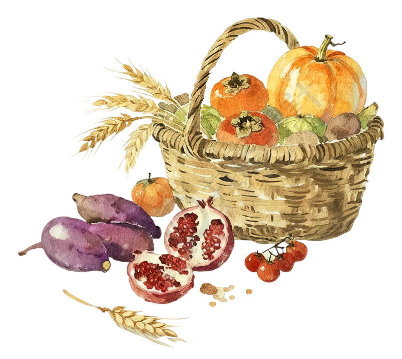 秋天南瓜石榴丰收插画