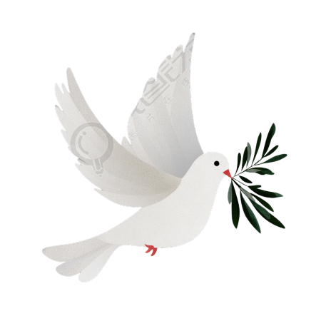 和平鸽飞翔插画