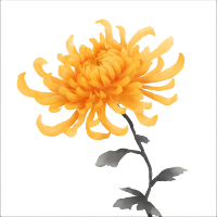 黄色菊花矢量插图