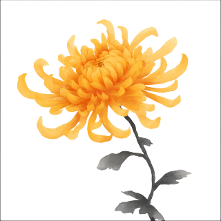 黄色菊花矢量图
