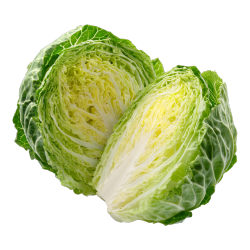 半个卷心菜素材