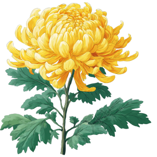image (7)