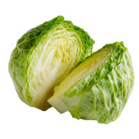 半个卷心菜元素