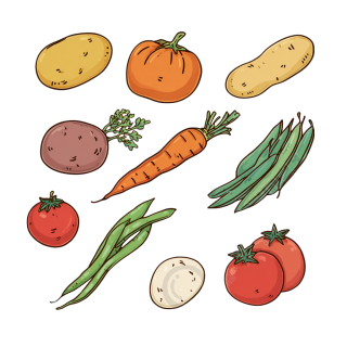 简笔蔬菜插画