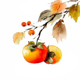 水墨柿子枝头