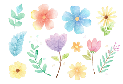 简约清新花卉插图