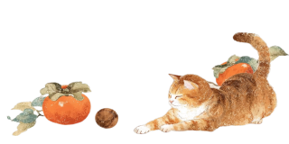 橘猫和柿子水彩插画