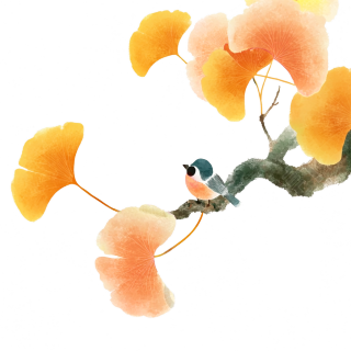 中国水墨风格银杏树插画设计