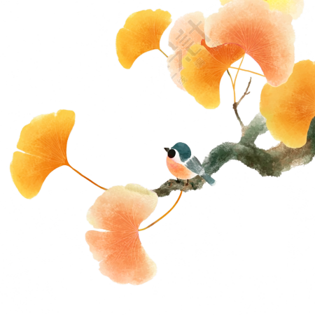 银杏树水墨风格插图
