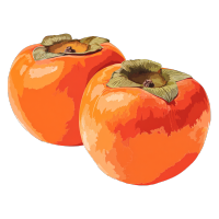 萌萌哒柿子插画